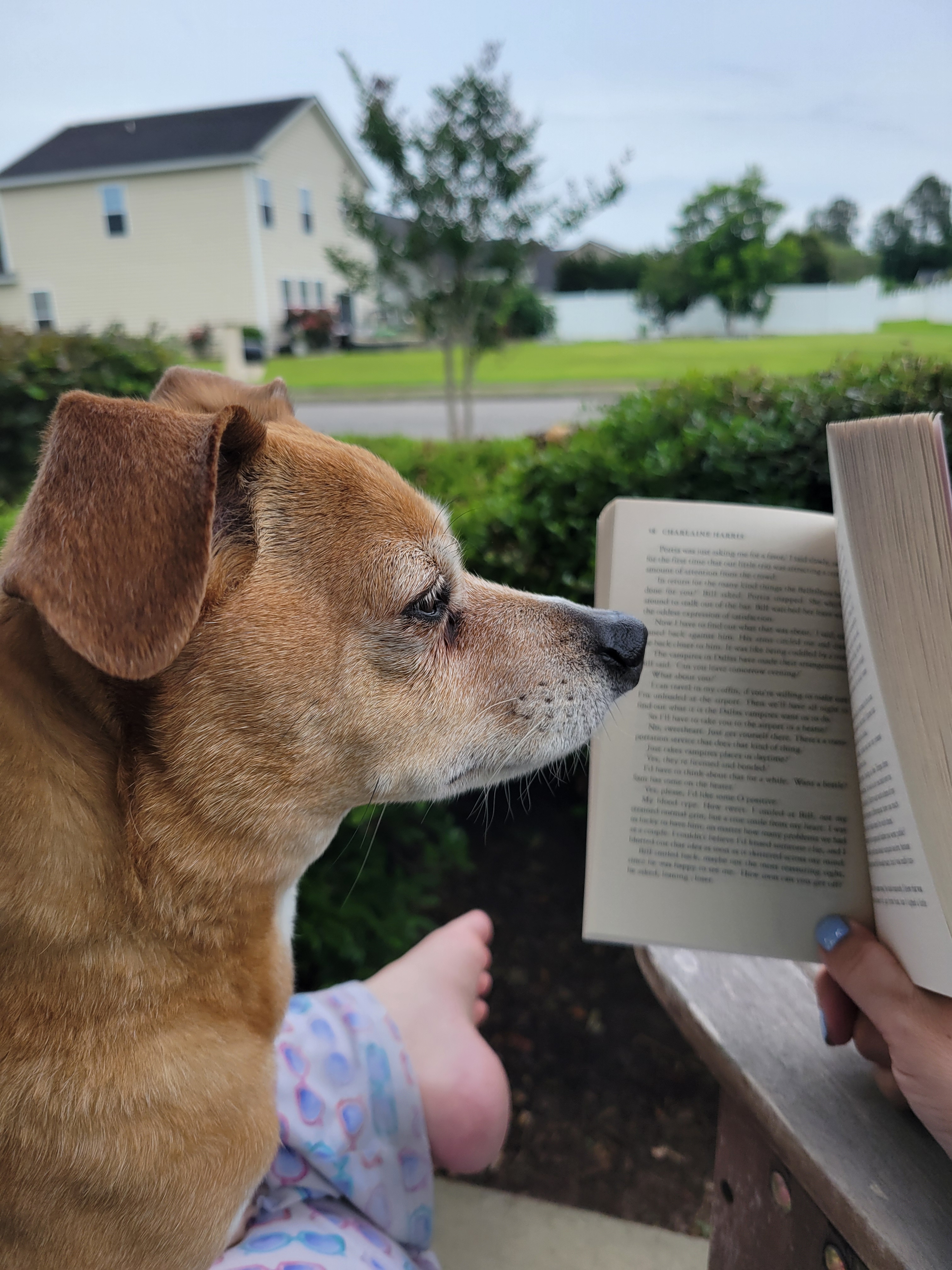 About Us – Bookworm & Vine